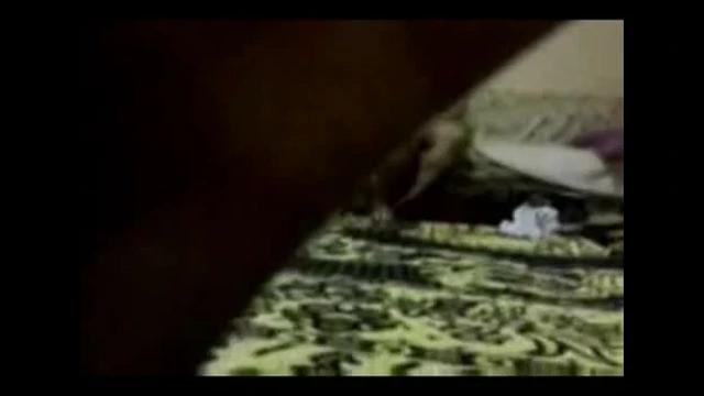 Sahibe Güzeli Burcu Giyinme Kabininde: Çılgın Aşk Oyunu (burcu İzle)
